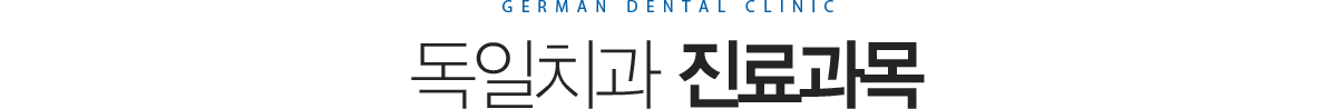 독일치과 진료과목